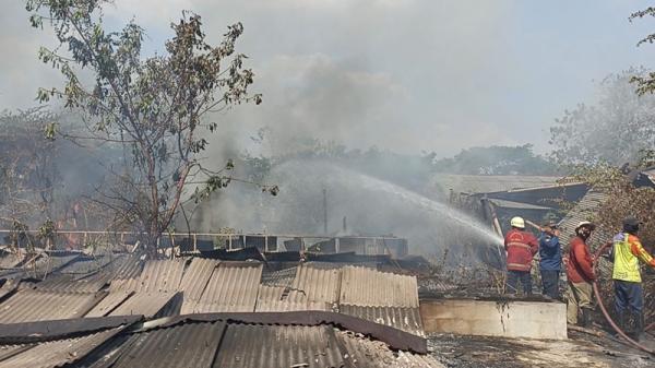 Pabrik Pengolahan Kayu di Kendal